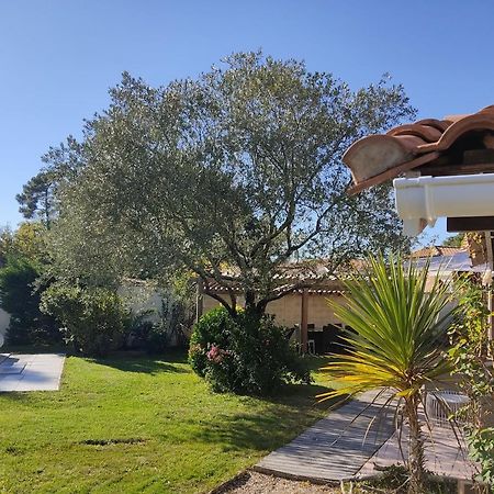 Maison Familiale En Bois Avec Piscine, Proche Du Bassin Gujan-Mestras Zewnętrze zdjęcie