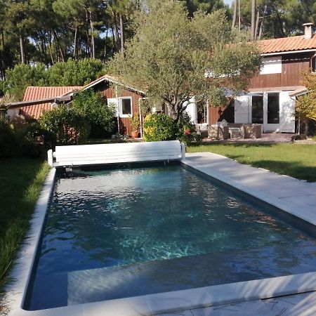 Maison Familiale En Bois Avec Piscine, Proche Du Bassin Gujan-Mestras Zewnętrze zdjęcie