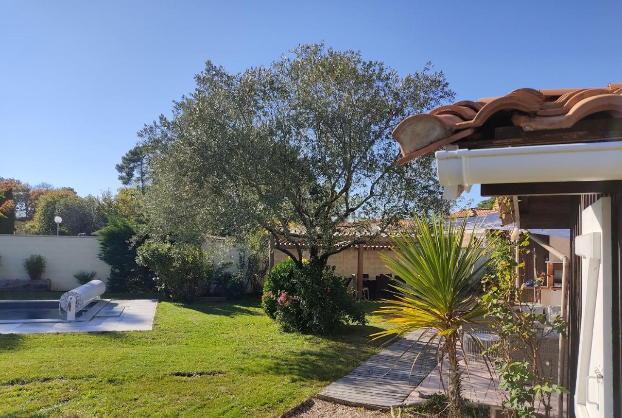 Maison Familiale En Bois Avec Piscine, Proche Du Bassin Gujan-Mestras Zewnętrze zdjęcie