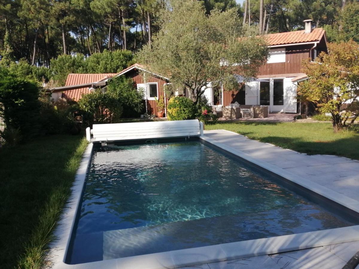 Maison Familiale En Bois Avec Piscine, Proche Du Bassin Gujan-Mestras Zewnętrze zdjęcie